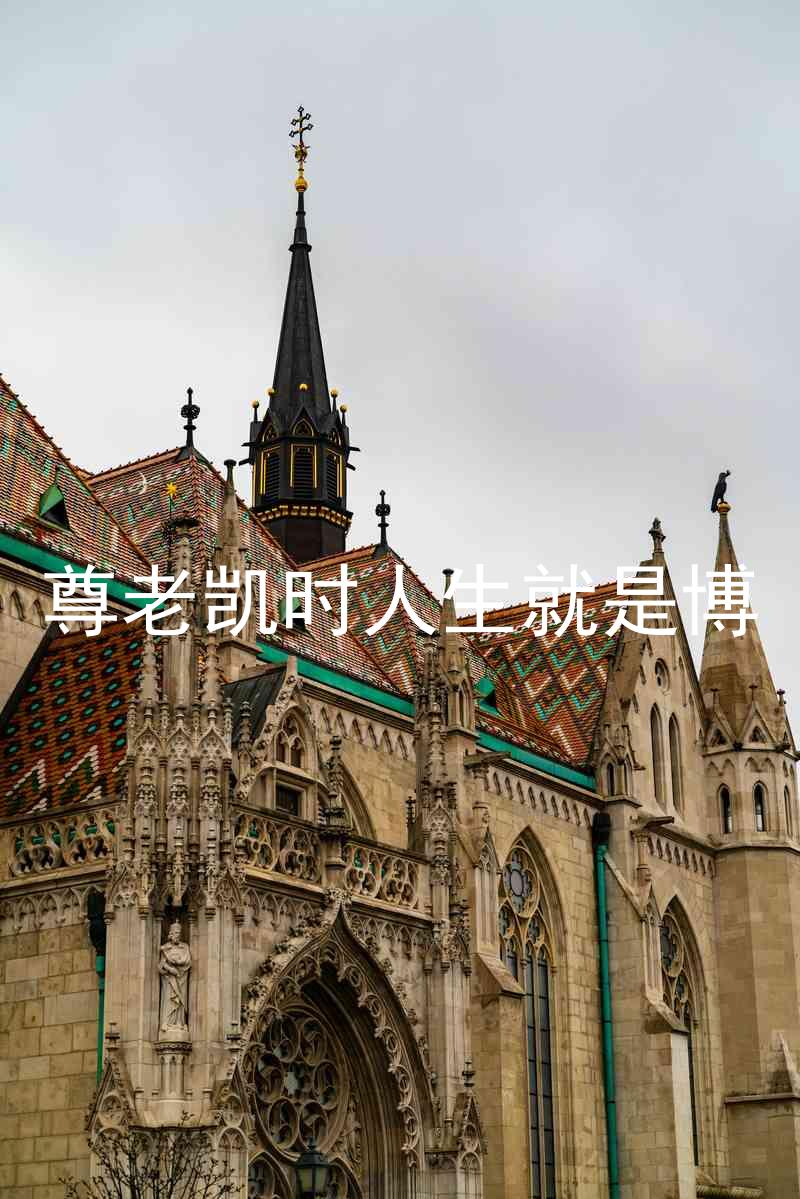 尊老凯时人生就是博