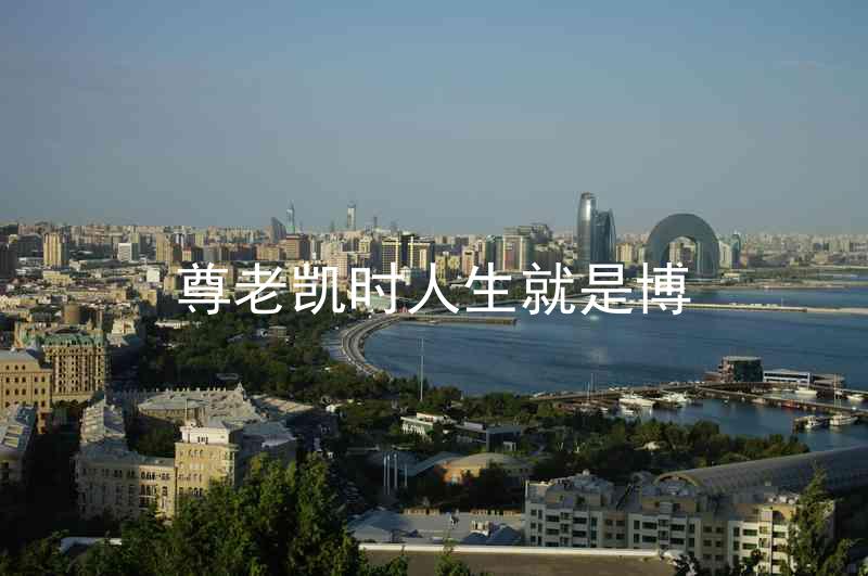 尊老凯时人生就是博