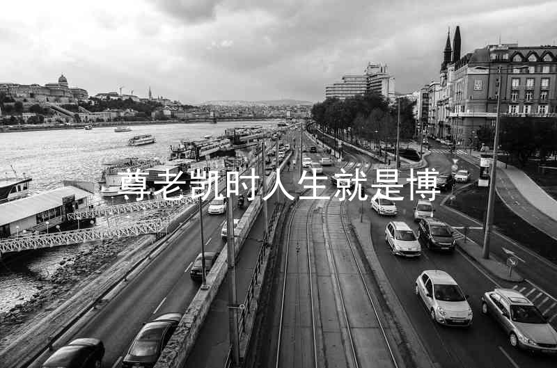 尊老凯时人生就是博