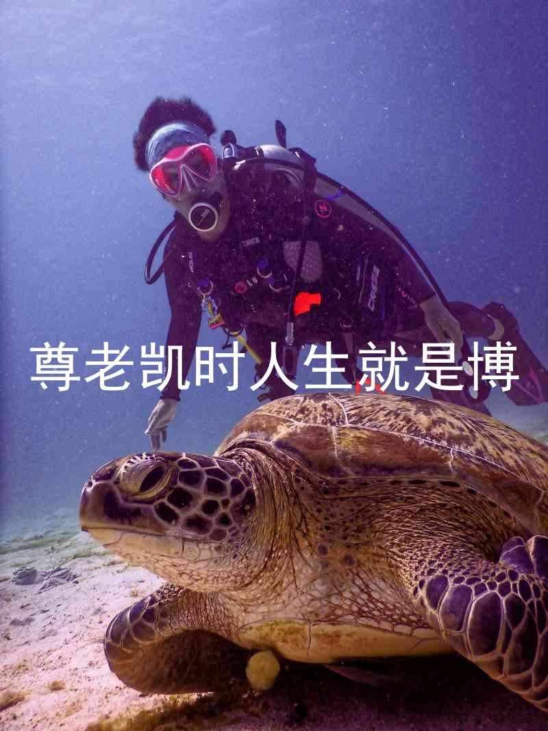 尊老凯时人生就是博