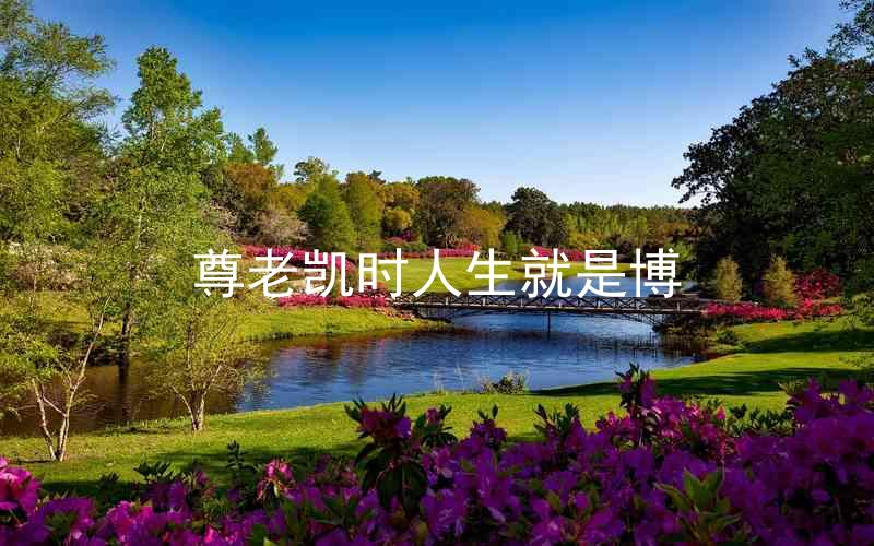 尊老凯时人生就是博