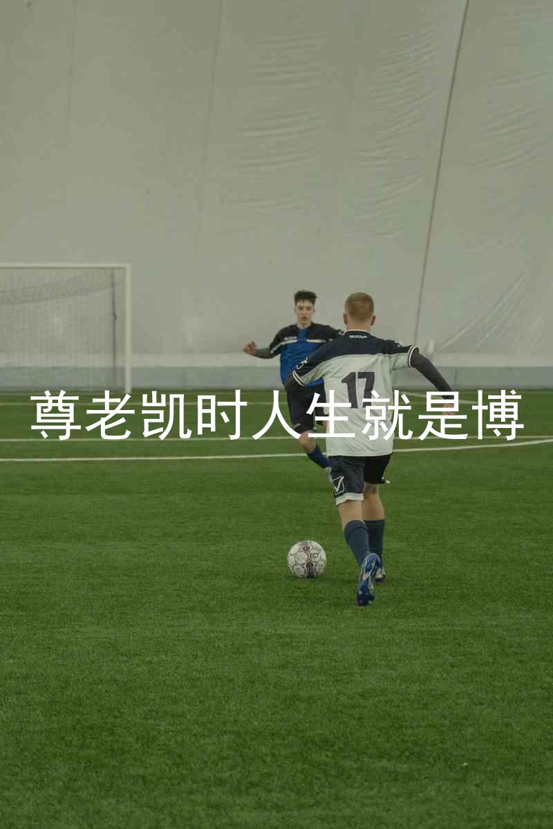 尊老凯时人生就是博